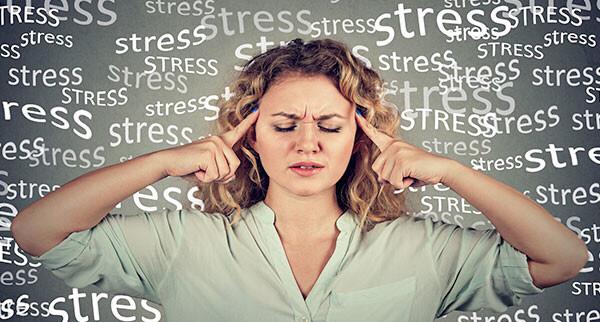 whatsapp image 2026 01 17 at 00.45.27 whatsapp image 2026 01 17 at 00.45.27